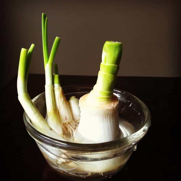 Leeks