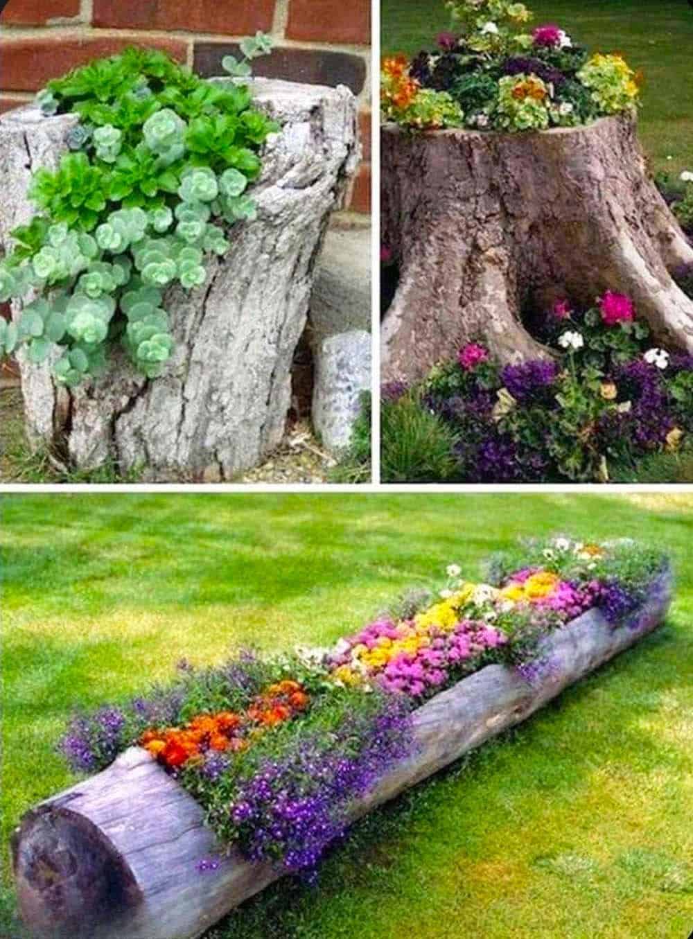 Natural Log Planters