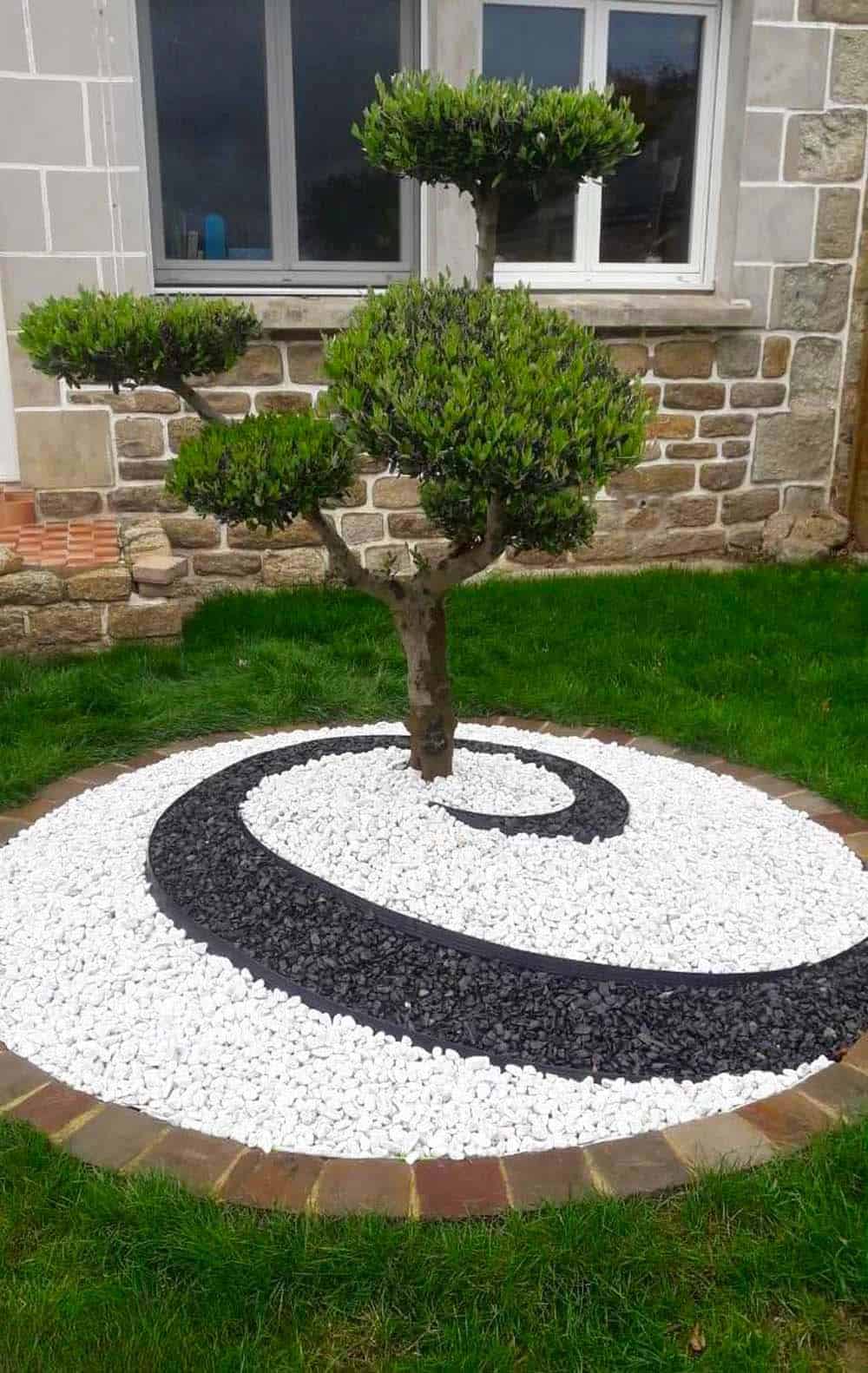 Zen Spiral Topiary