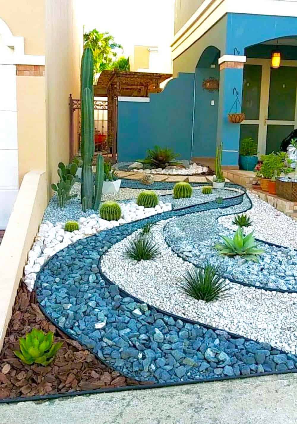 Serene Cactus Pathway