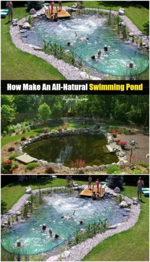 DIY Natural In-Ground Pool