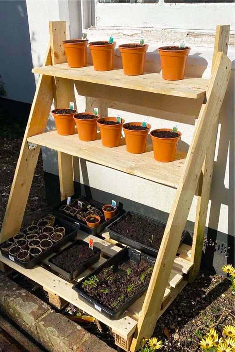 Seedling Starter Shelves