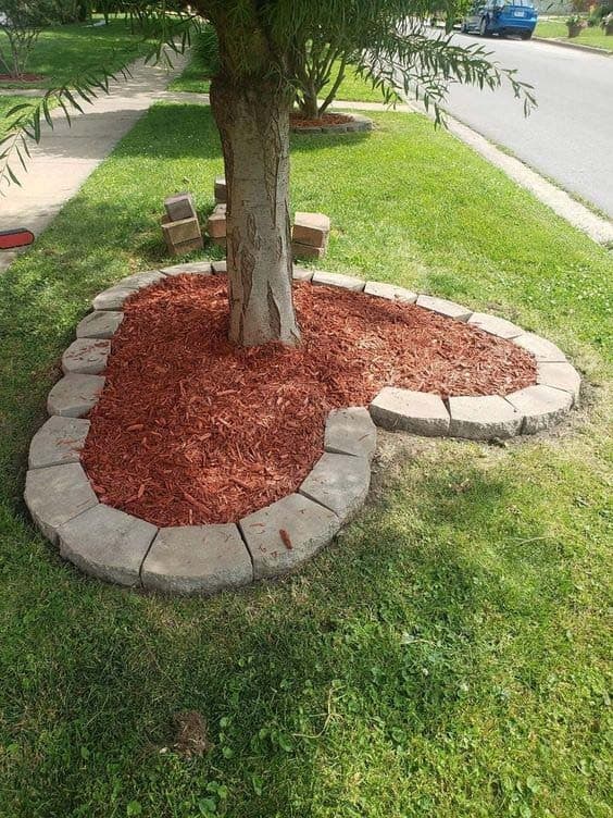 Sweetheart Tree Edging Idea