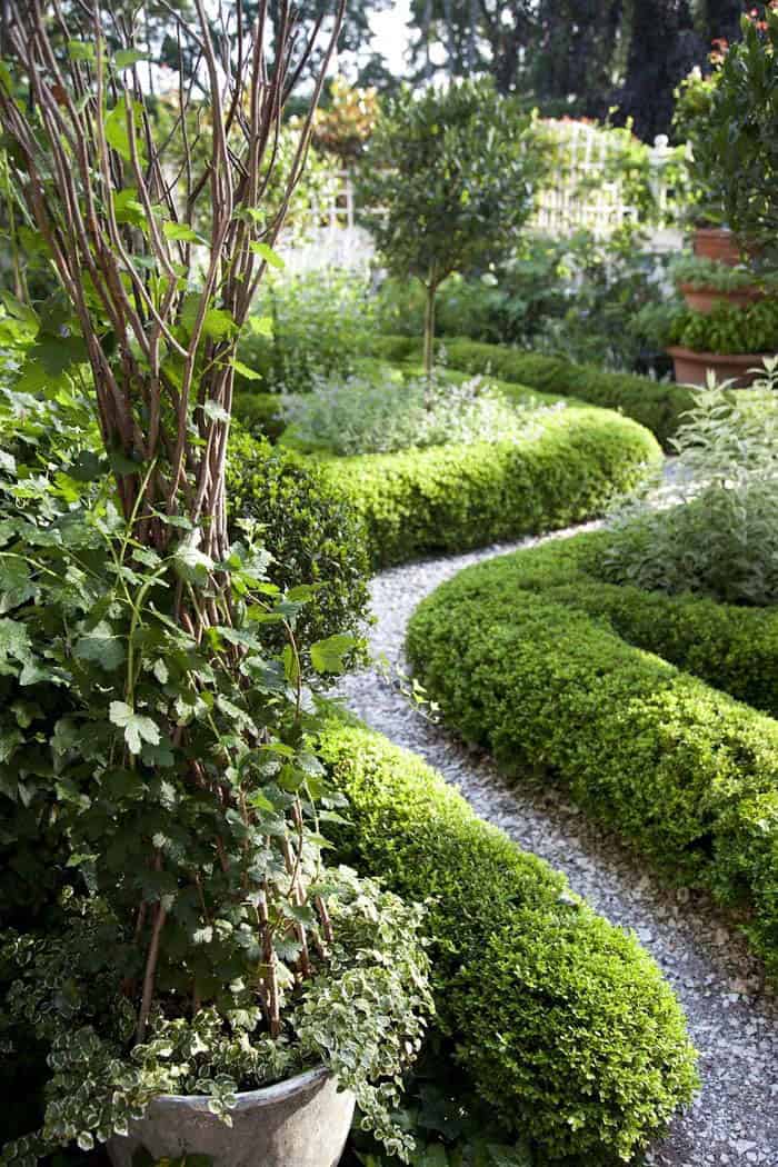 Verdant Garden Path