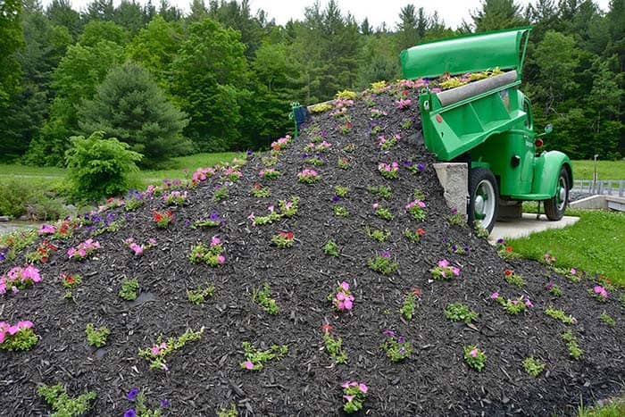 Be Bold with Flowers Spilling from a Truck