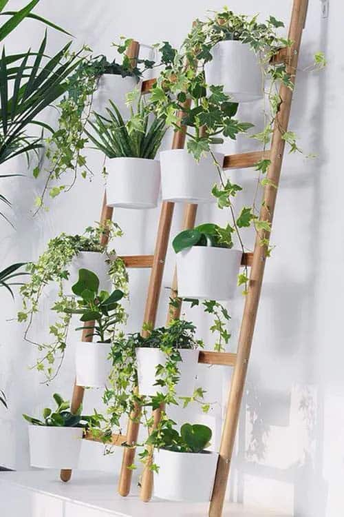 Perfect For Any Plant Lover