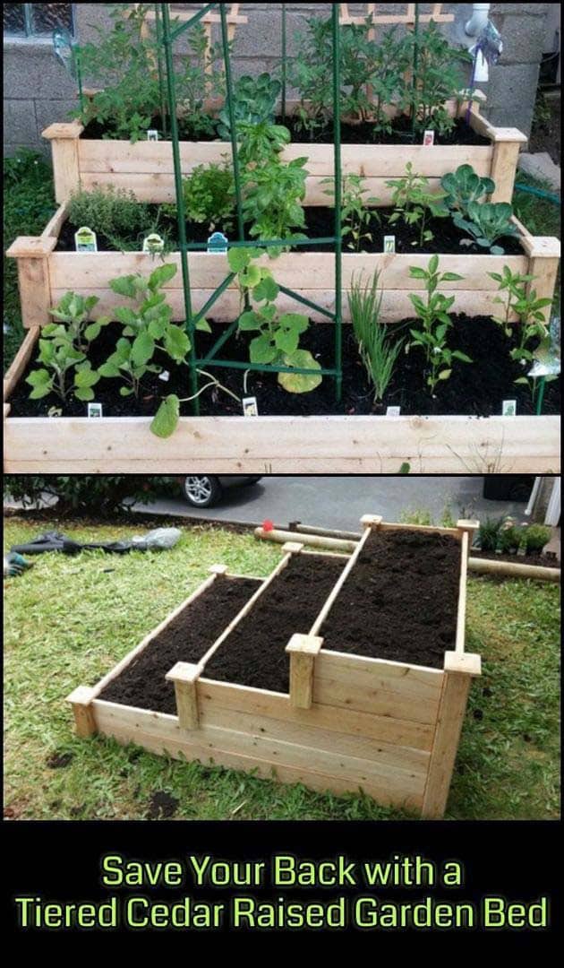 Three-Tier Cedar Raised Garden Bed for Plant Variety