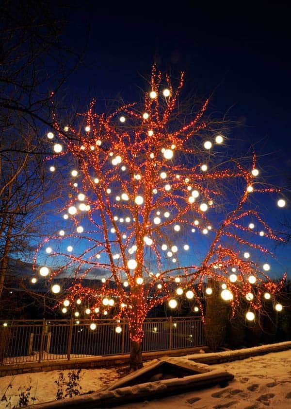 Illuminate Your Yard with a Stunning Decorated Tree