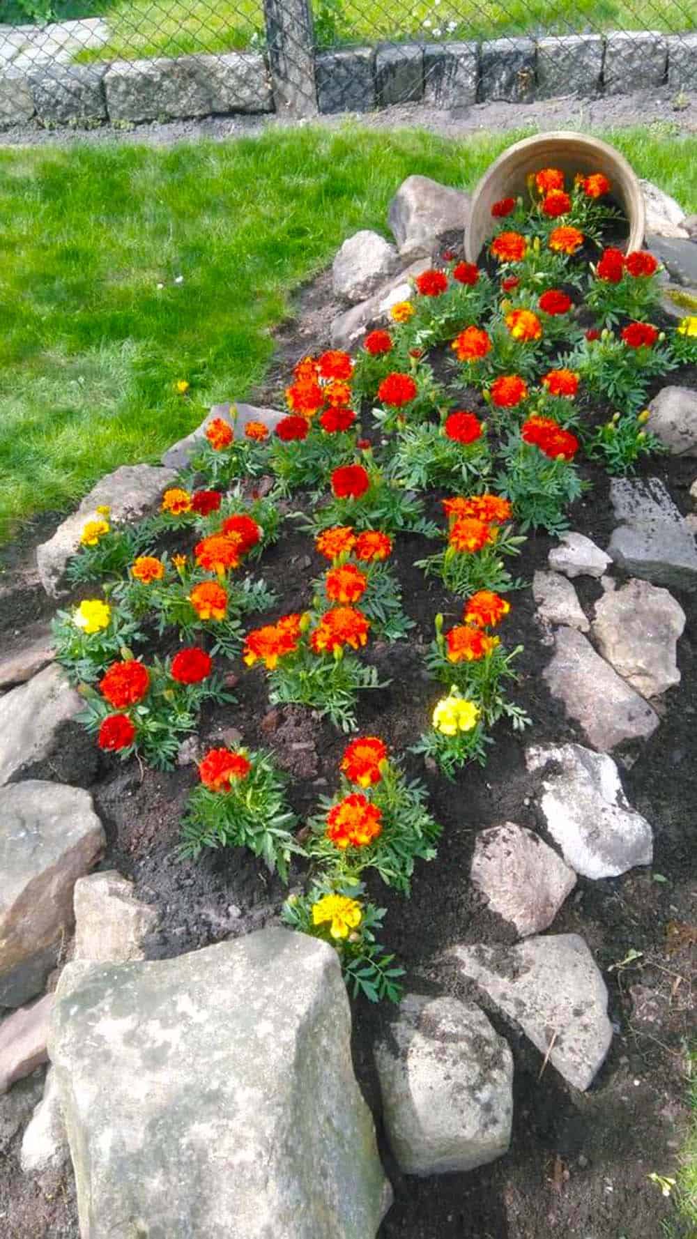 Marigold Spill Garden