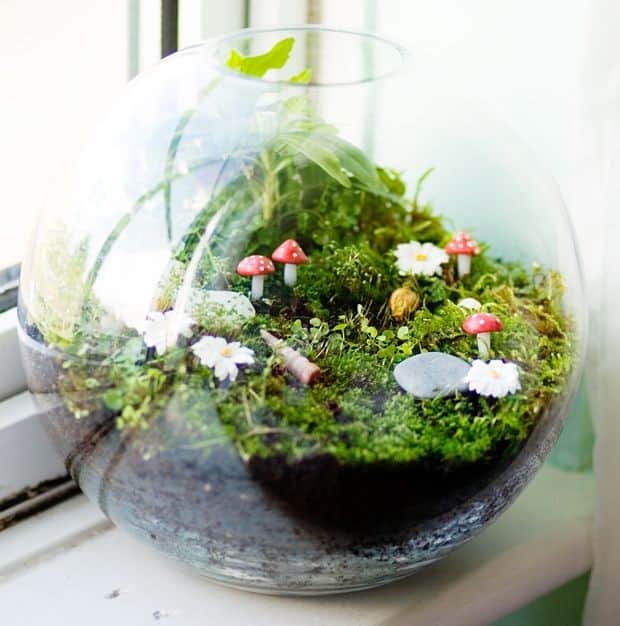 Transform a Terrarium into an Inspiring Wonderland