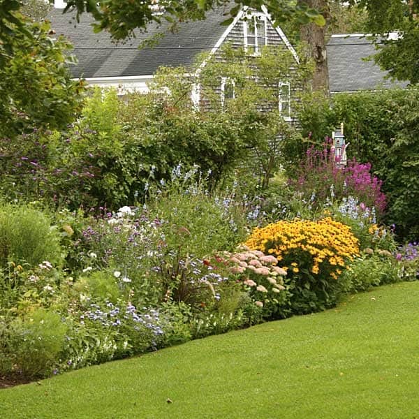 Delight Guests with Cottage-Garden Perennials