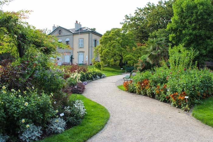 Garden Bed Mixed with Lawn Edging