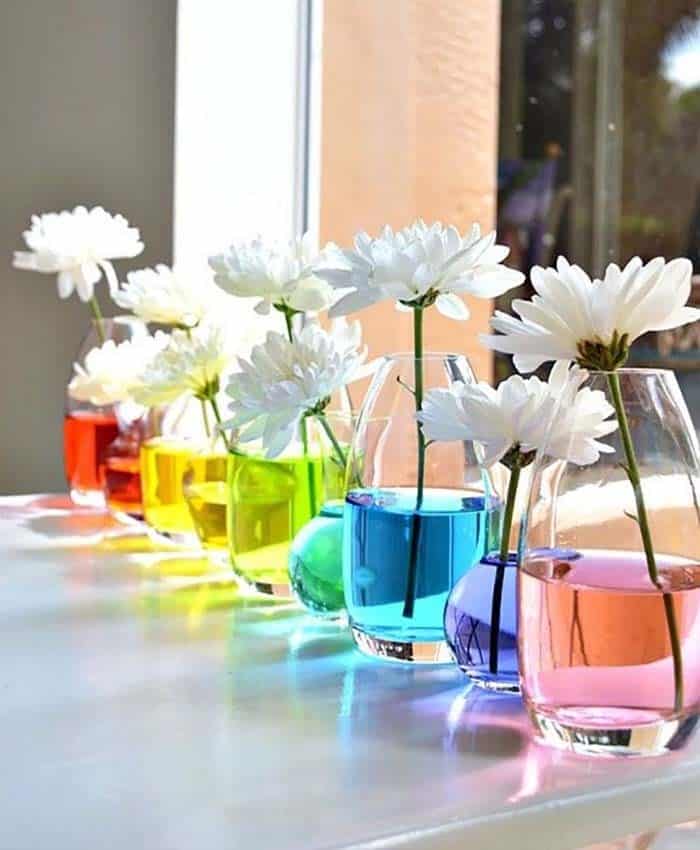 Make a Rainbow Display with Your Flower Centerpiece