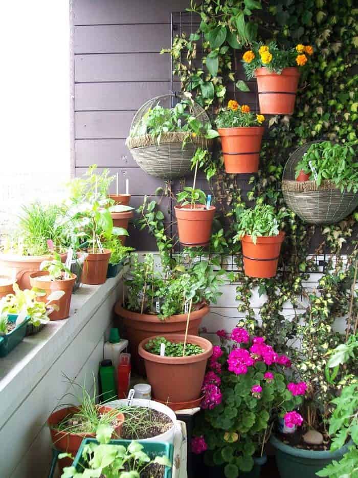 Elevate Your Balcony with a Vegetable Garden