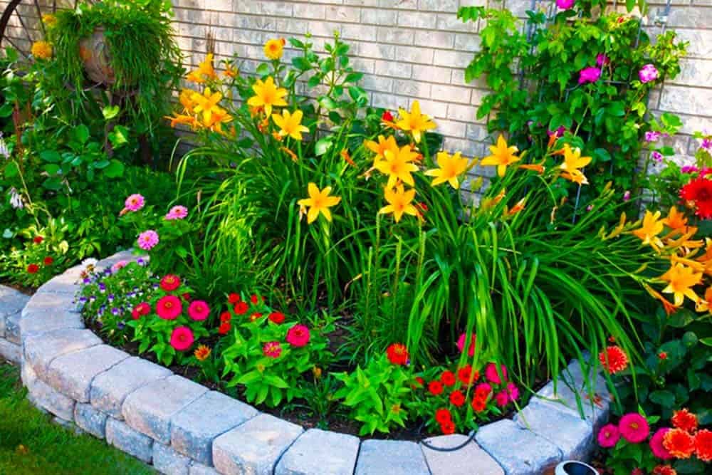 Blooming Garden Bed