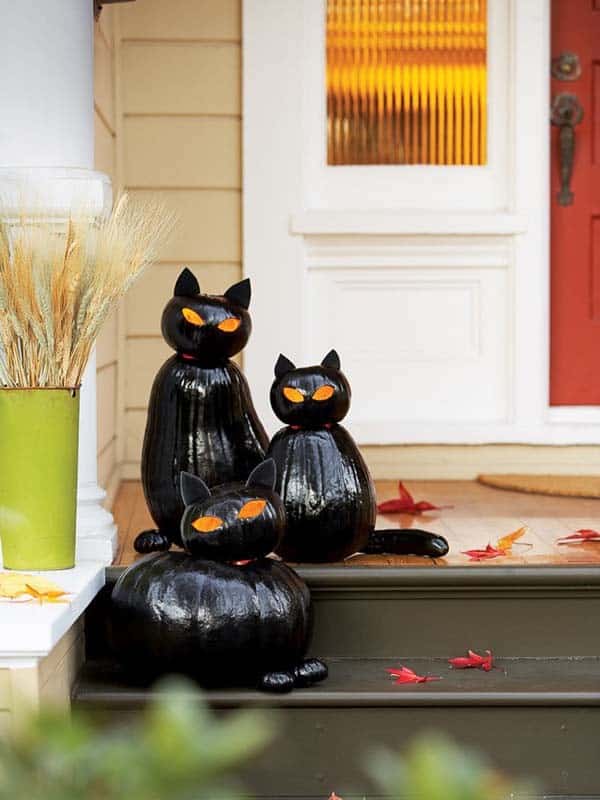 Purrfect Pumpkin Cats