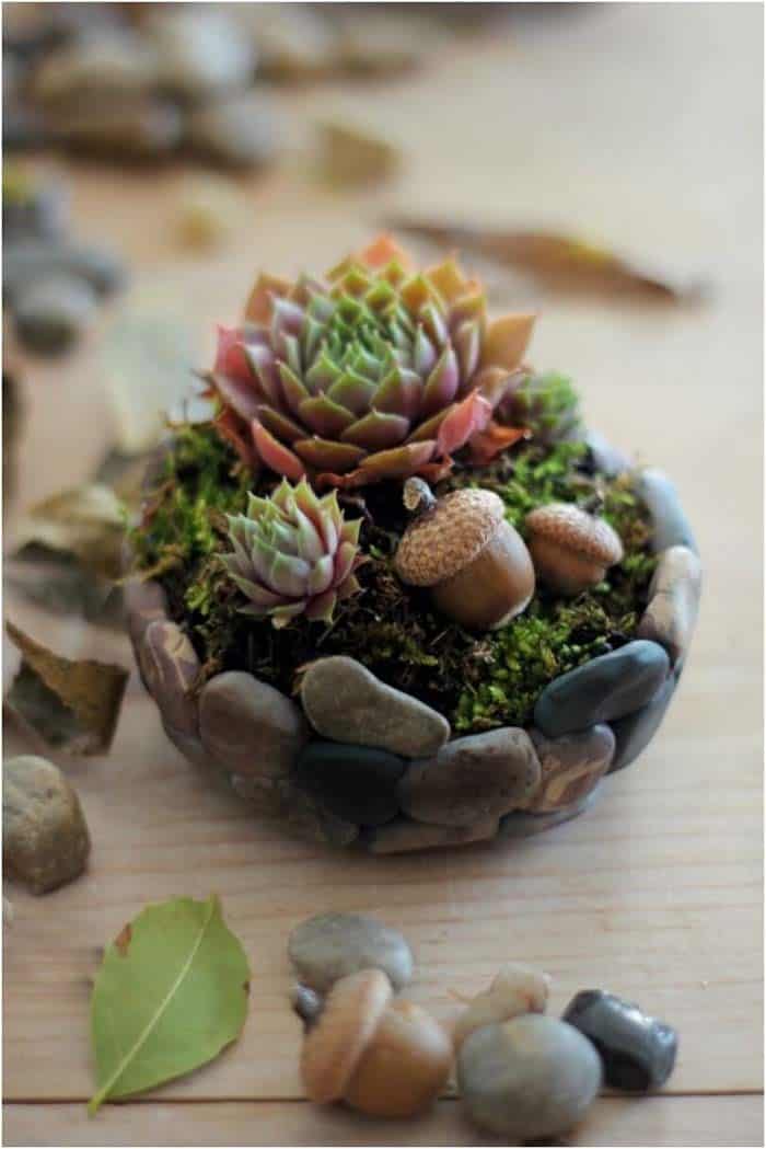 Make a Small Succulent Planter using Faux Stones