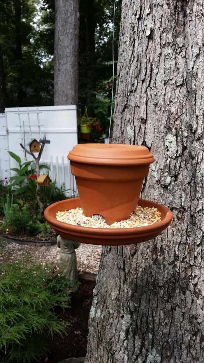 Attract Birds with a DIY Clay Flower Pot Bird Feeder